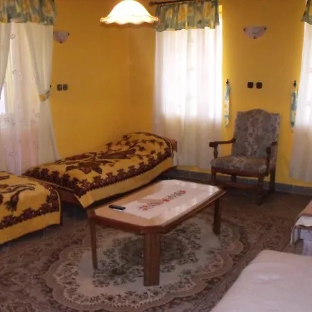 Guest house Borostyan Vendeghaz *