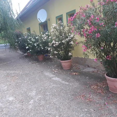 Borostyan Vendeghaz Guest house Zalaegerszeg