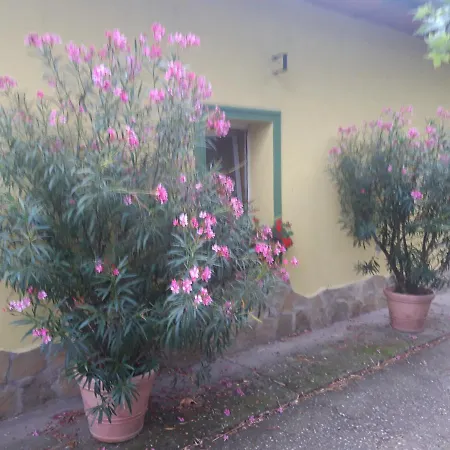 Borostyan Vendeghaz Guest house Zalaegerszeg